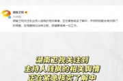 娱乐吃瓜酱退税